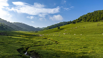 关山牧场度假村