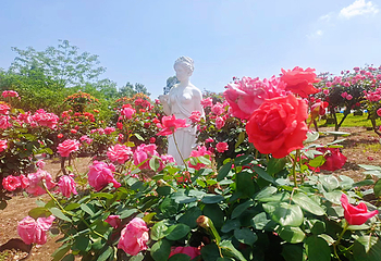 贡之源·花仙谷第 1 张图片