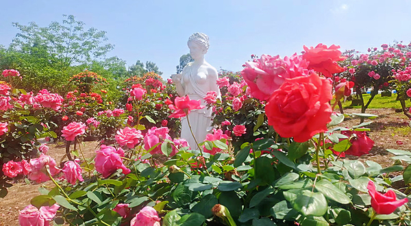 贡之源·花仙谷