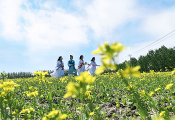 岳秀庄村特色旅游景区第 11 张图片