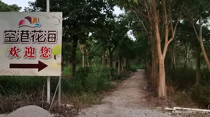 空港花海第 1 张图片