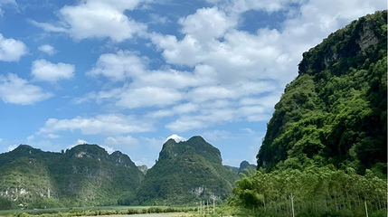 东红湿地公园第 1 张图片