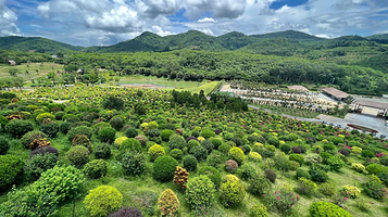 喜禾热带水果主题公园