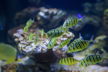 动物主题公园(武汉天地壹方购物中心店)第 40 张图片