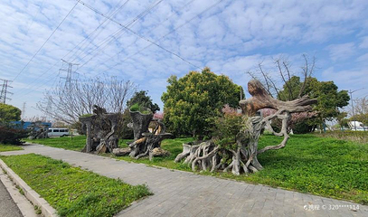 昆山市花卉博览园第 1 张图片
