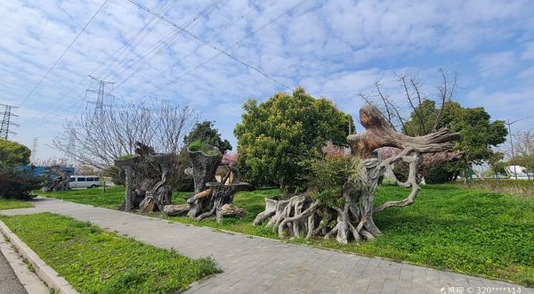 昆山市花卉博览园