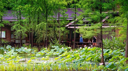 练湖生态园第 1 张图片