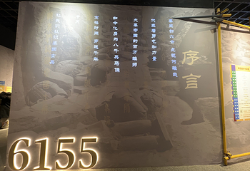 秦始皇帝陵博物院(兵马俑)第 674 张图片