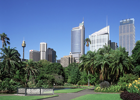 悉尼皇家植物园