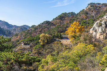 千山第 8 张图片