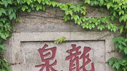 南普陀寺-龙泉第 1 张图片