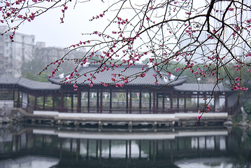 天一阁·月湖景区第 7 张图片