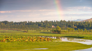 伊犁河谷国家湿地公园