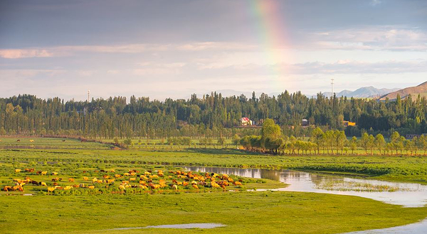 伊犁河谷国家湿地公园