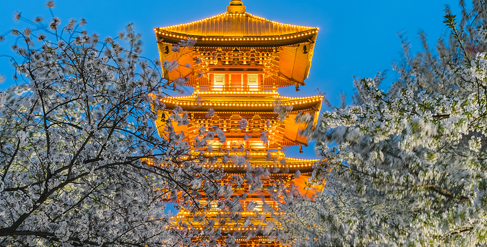 武汉东湖风景区门票,武汉东湖风景区门票预订,武汉东湖风景区门票价格,去哪儿网门票