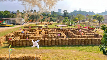 东莞市顺成农业科技生态园