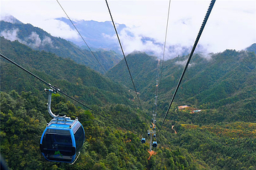 莽山五指峰景区第 53 张图片