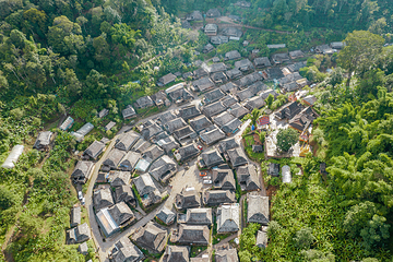 景迈山茶林文化景区第 24 张图片
