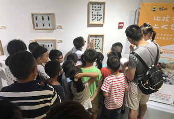 神农百草园·活体昆虫生态博览馆第 18 张图片