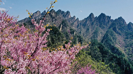 老界岭旅游度假区第 85 张图片