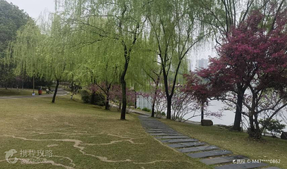麻山双月湾湿地公园第 2 张图片