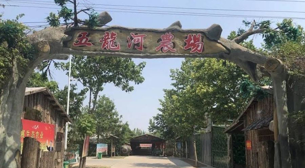 五龙河农场
