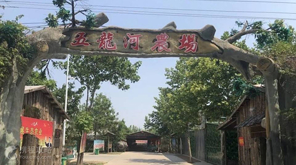 五龙河农场第 2 张图片