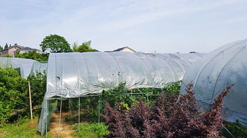 余杭瓶窑镇麻栗脚生态农场