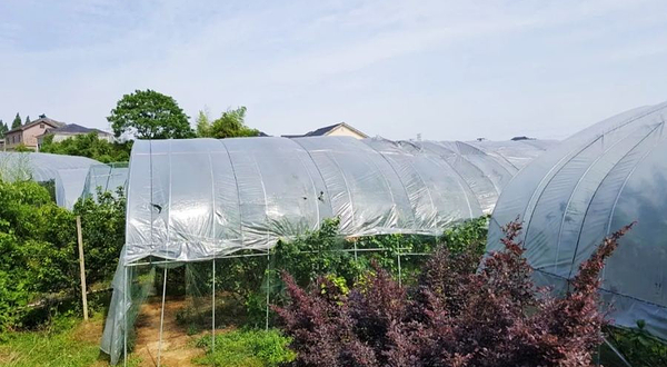 余杭瓶窑镇麻栗脚生态农场