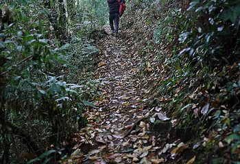 高黎贡山第 26 张图片