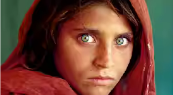 《国家地理》中文杂志经典视觉大展