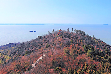 姥山岛第 9 张图片