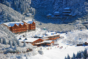 金佛山北坡景区