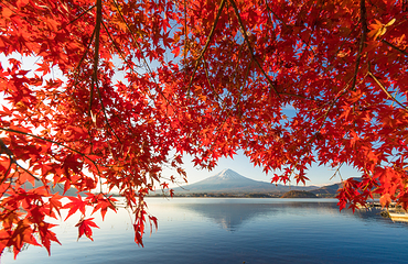 富士山五合目第 7 张图片