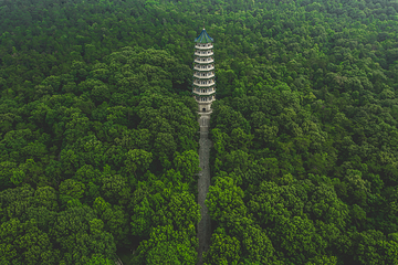 钟山风景名胜区第 230 张图片