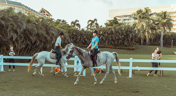 三亚亚龙湾巨人马术