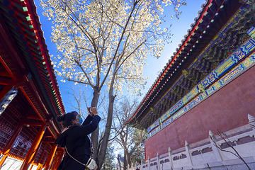 红螺寺第 129 张图片