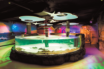 墨尔本水族馆第 24 张图片