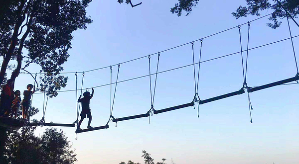 天鹿湖森林公园