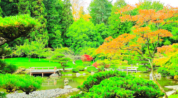 华盛顿公园植物园