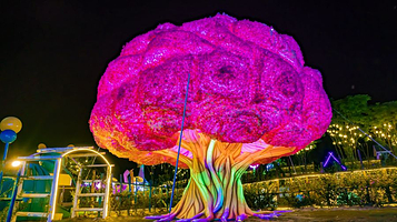 南山南·梦享村