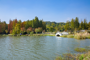 平山森林公园第 6 张图片