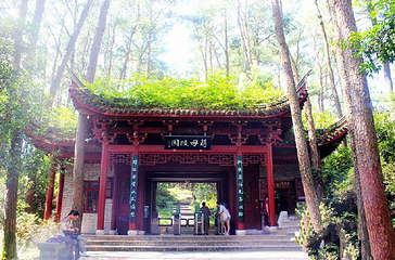 溪口-滕头旅游景区-蒋母陵园第 1 张图片