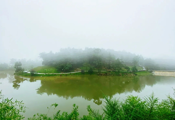 天府茶灵谷度假区第 82 张图片