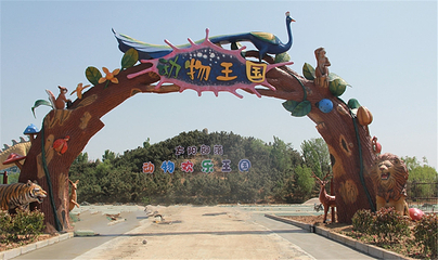 太阳部落动物欢乐王国第 14 张图片