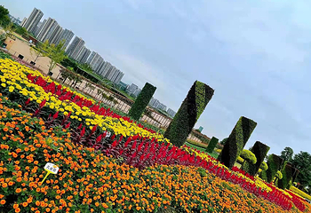 音乐百花谷第 65 张图片