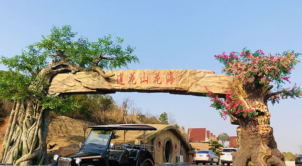 莲花山花海度假村
