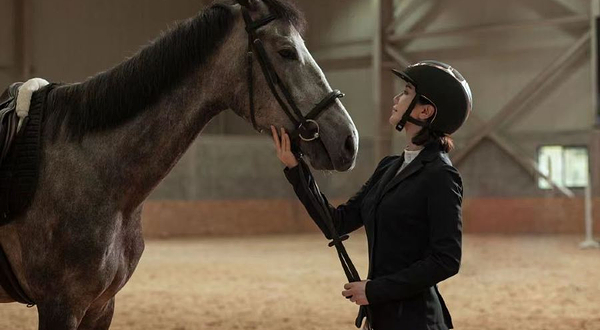 世纪腾骏（福州）马术中心