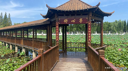 南湖公园第 1 张图片