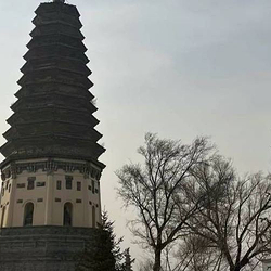 崇寿寺塔